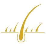 إنبات