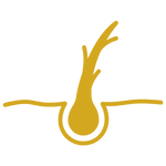 التهابات