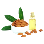 Sweet Almond Oil