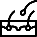 BAICAPIL